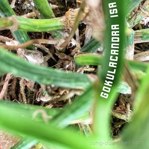 Isa Gokulacandra MP3 Download